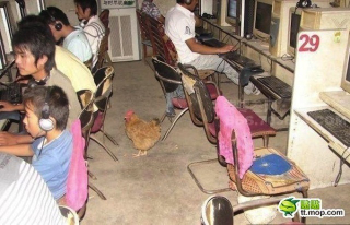 Illustration for article titled The Wild World of China's Net Cafes